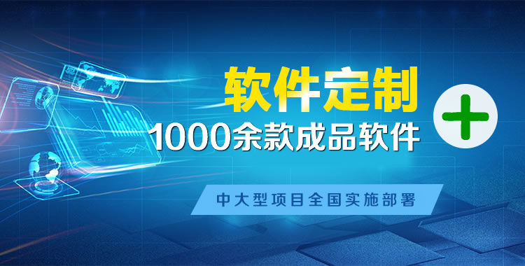 椰林软件开发